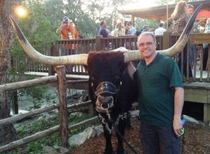 Texas Longhorn